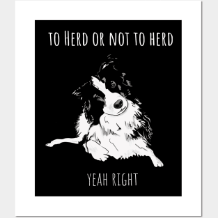 To Herd Or Not To Herd - Border Collie Posters and Art